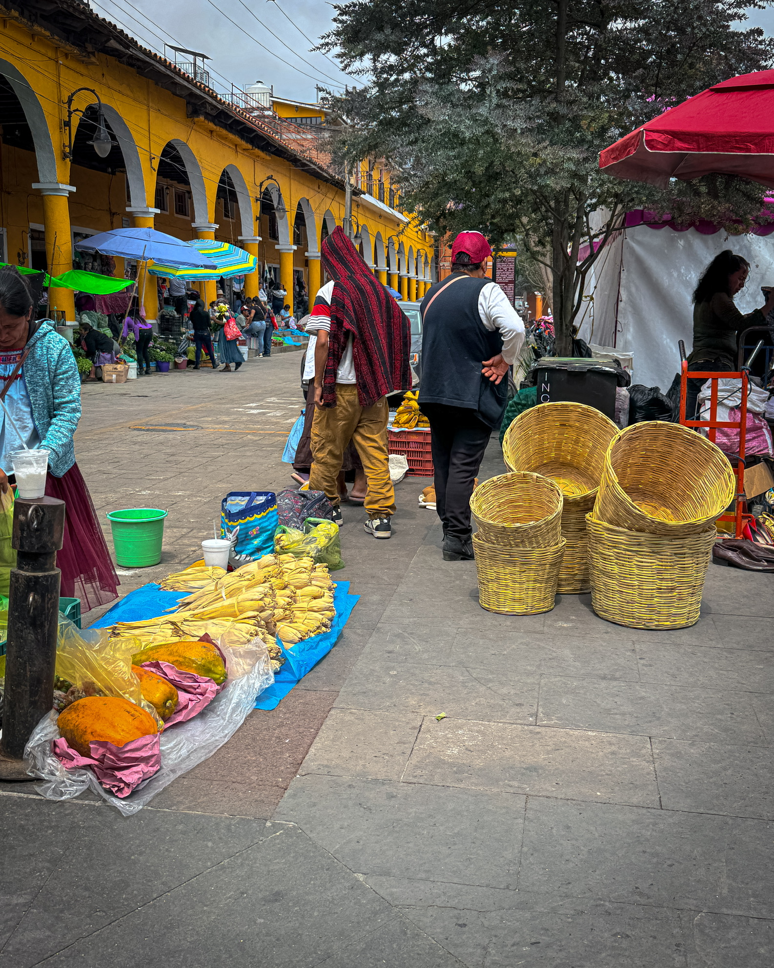 01c2a514 87f4 4688 81b3 1fa145c3cc6e 1 102 o