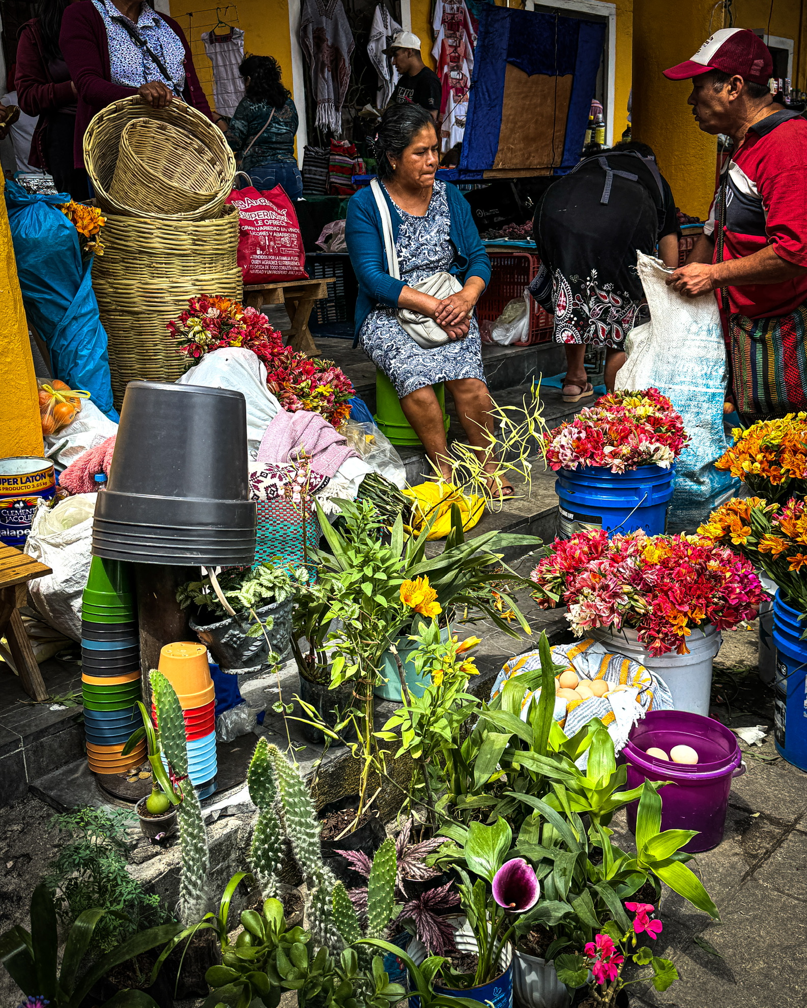 b32a68c8 1acc 437f a56b 5c0abe2640fa 1 102 o