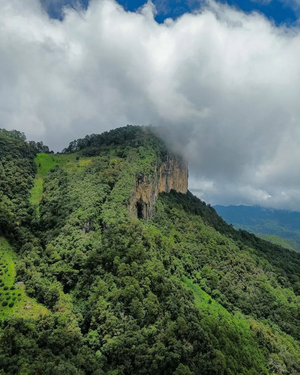 521672299 17985817274828721 7186834409077248489 n (1)