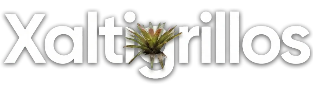 xalti letra sombra