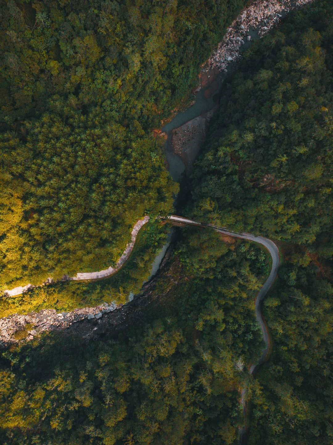 Puente de la soledad mesa de trabajo1