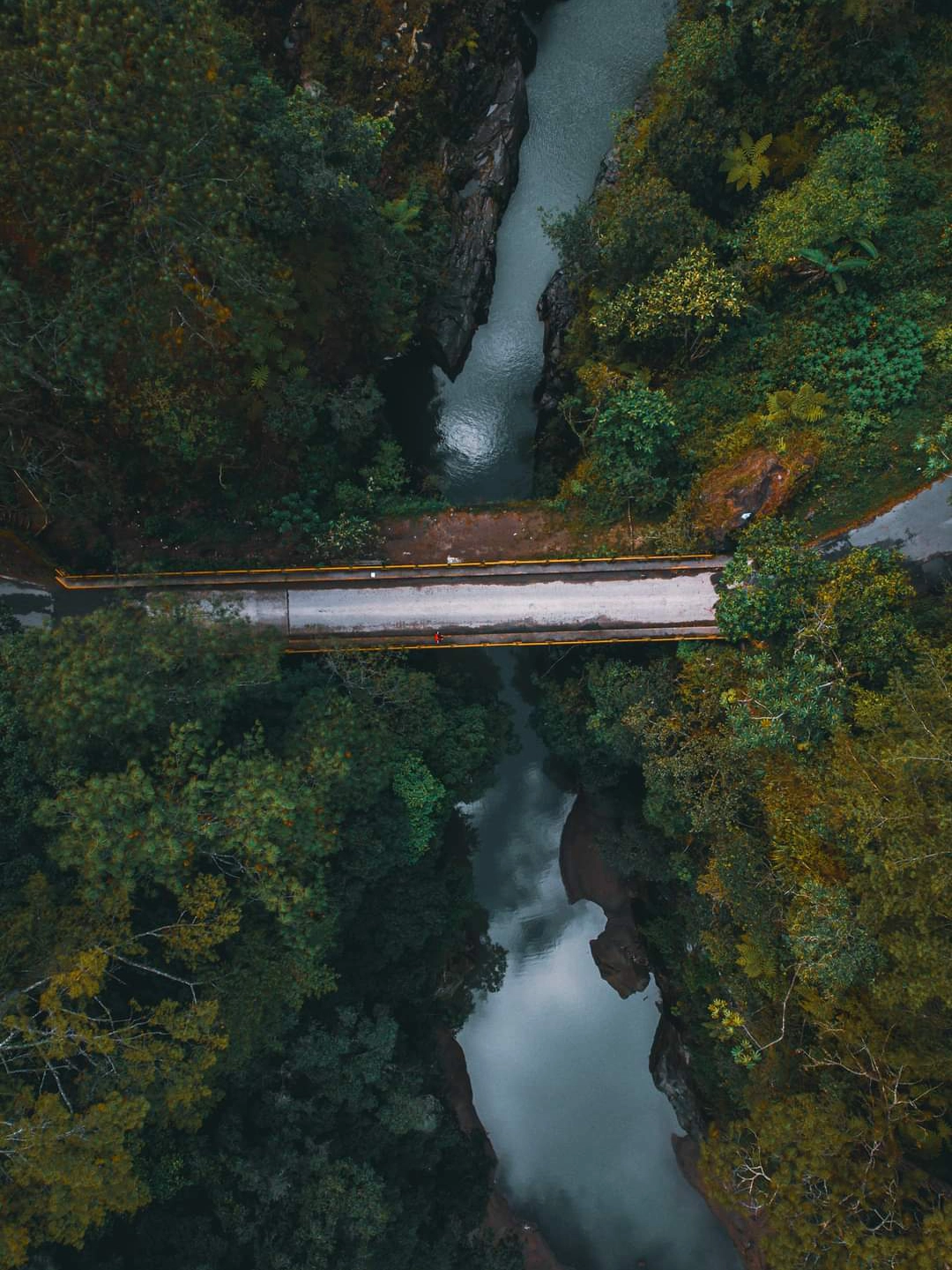 Puente de la soledad mesa de trabajo27