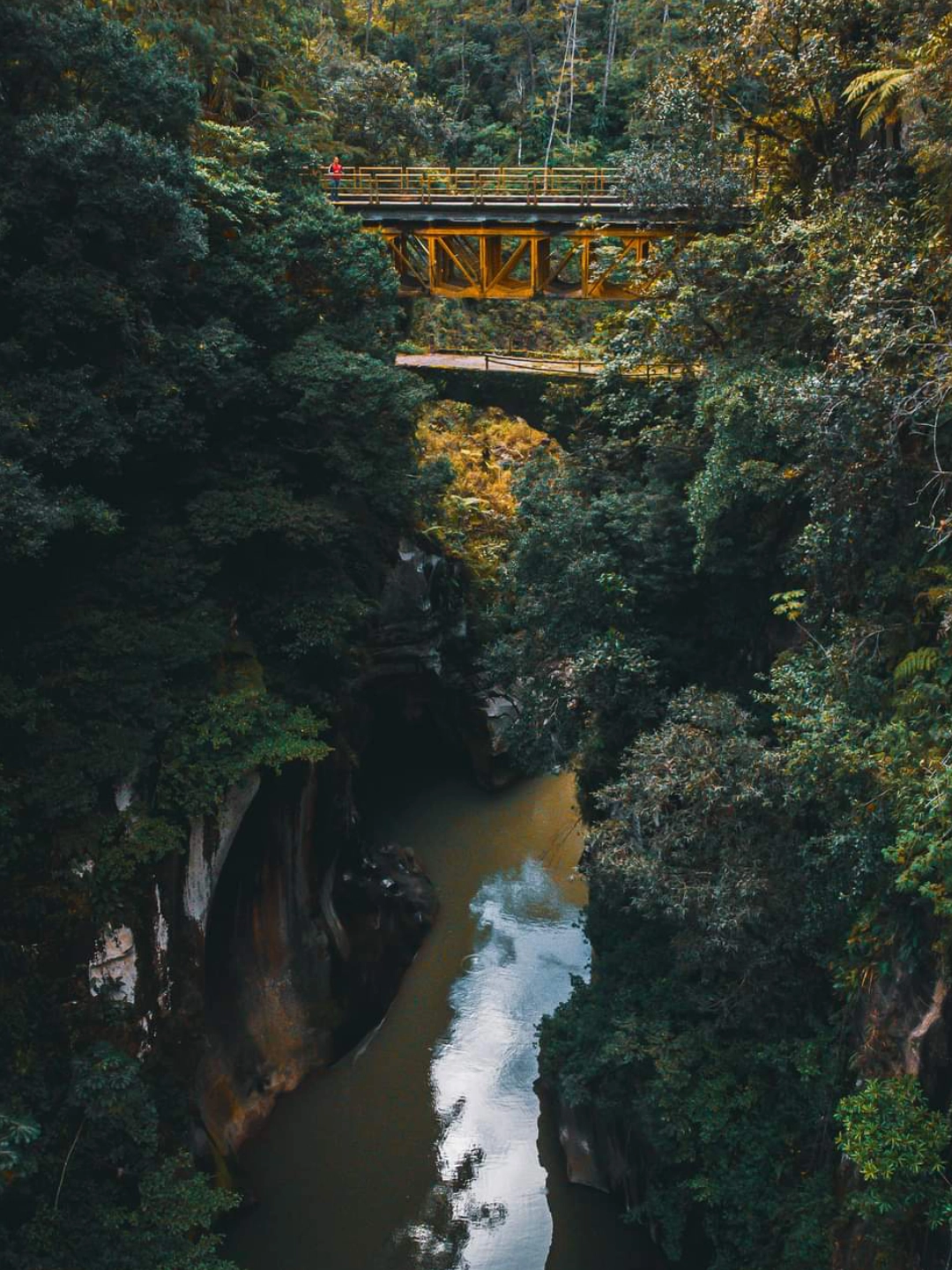 Puente de la soledad mesa de trabajo28