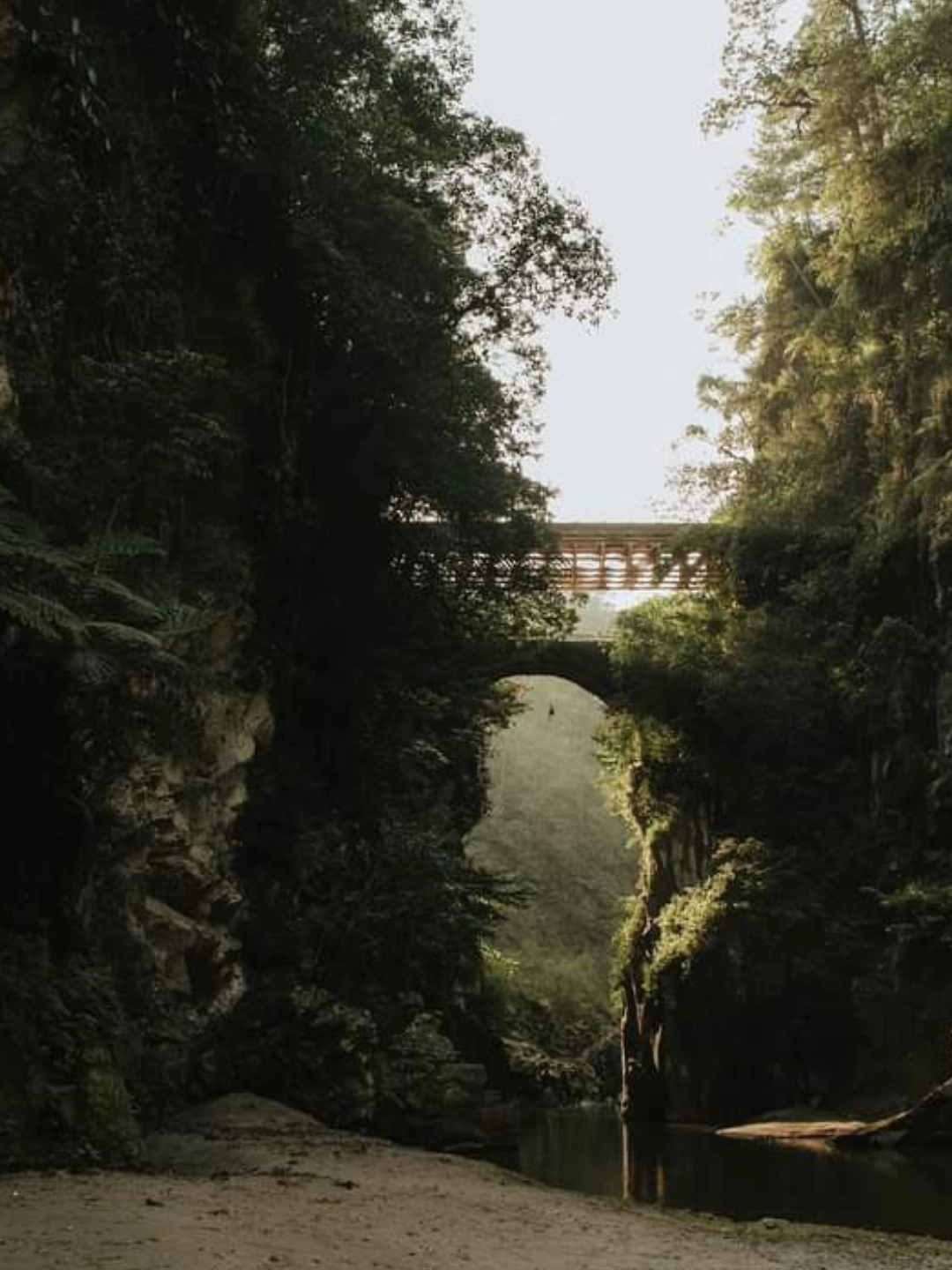 Puente de la soledad mesa de trabajo30