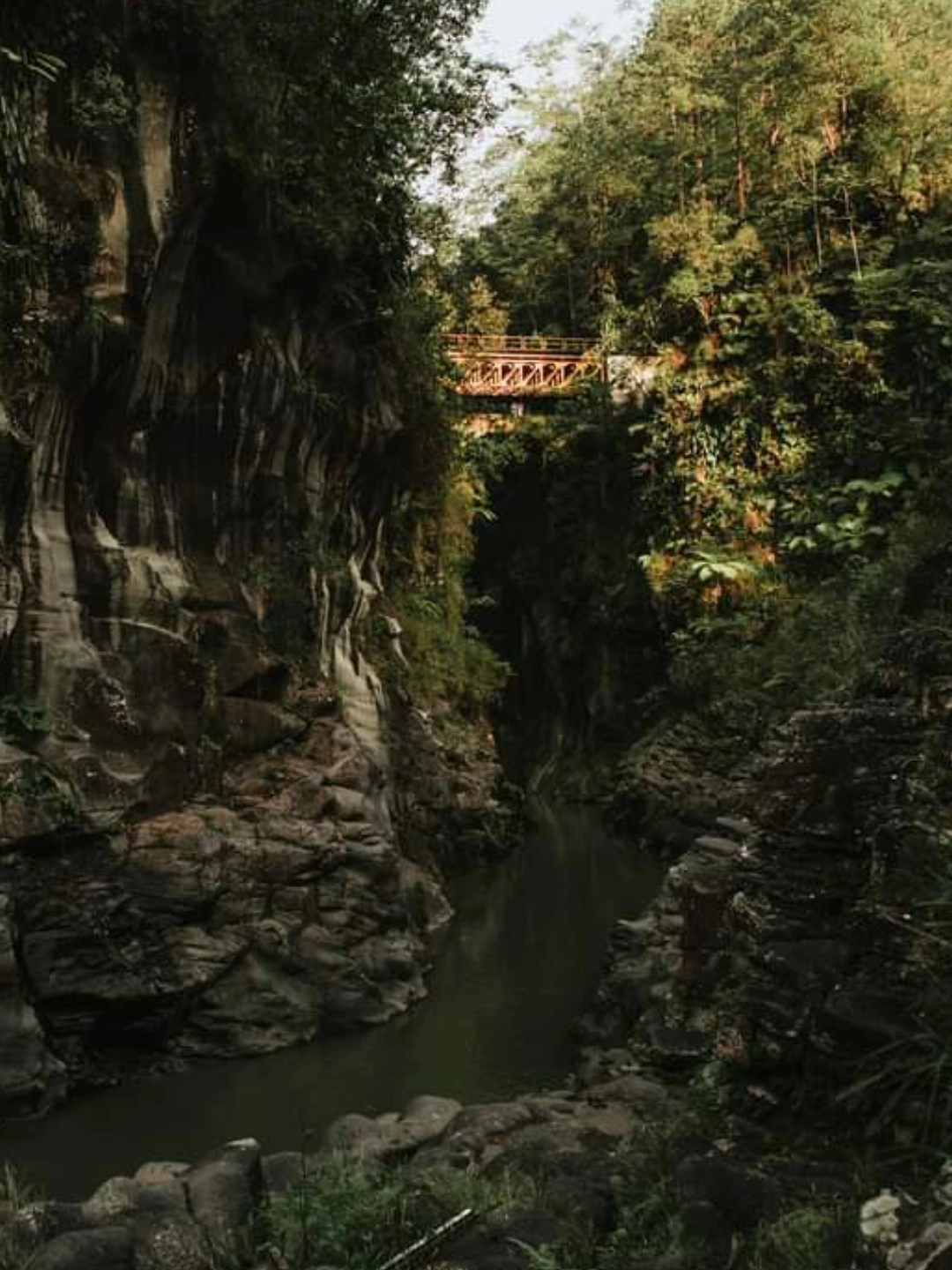 Puente de la soledad mesa de trabajo31