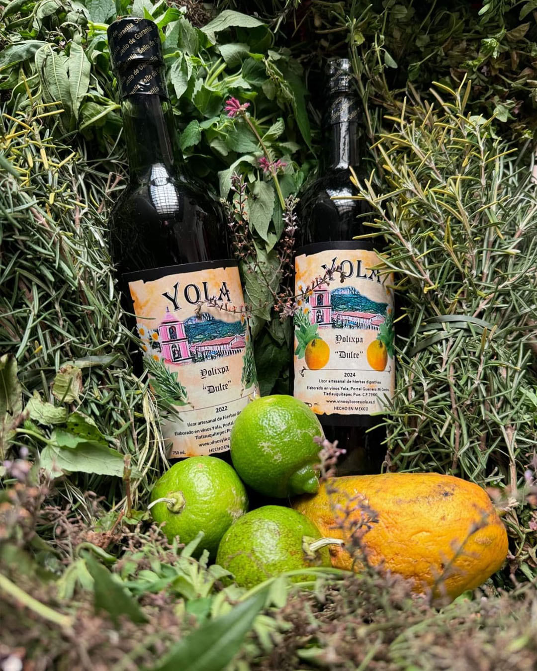 recorrido licores yola