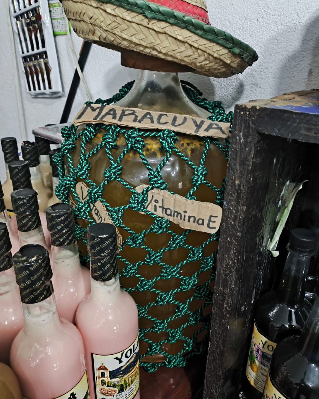 catacion licores yola