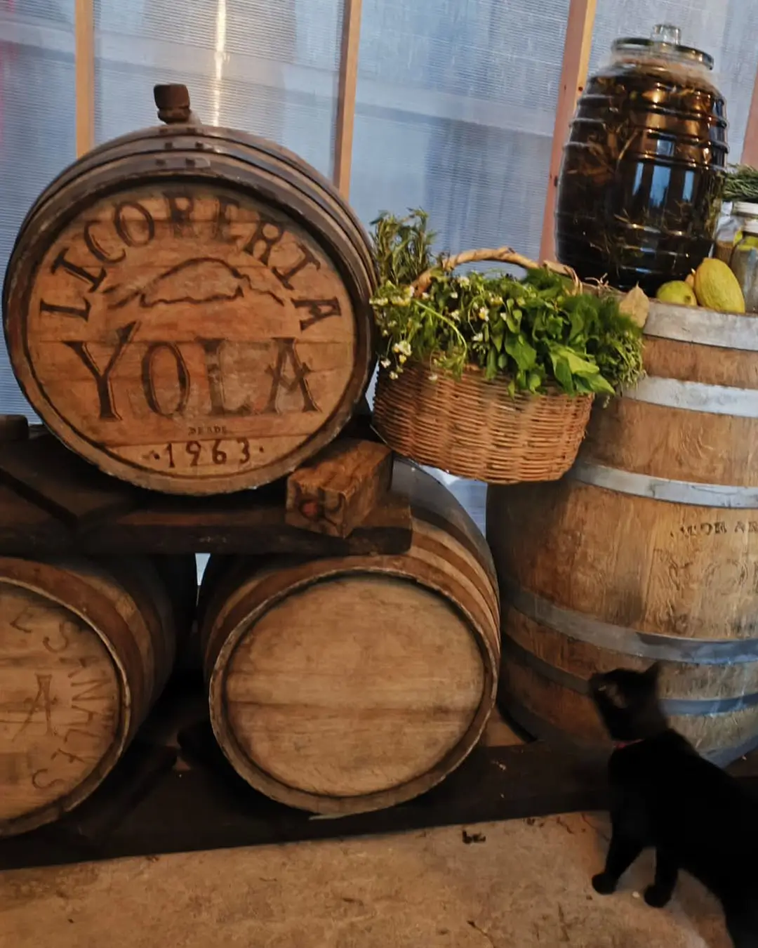 licores en tlatlauquitepec