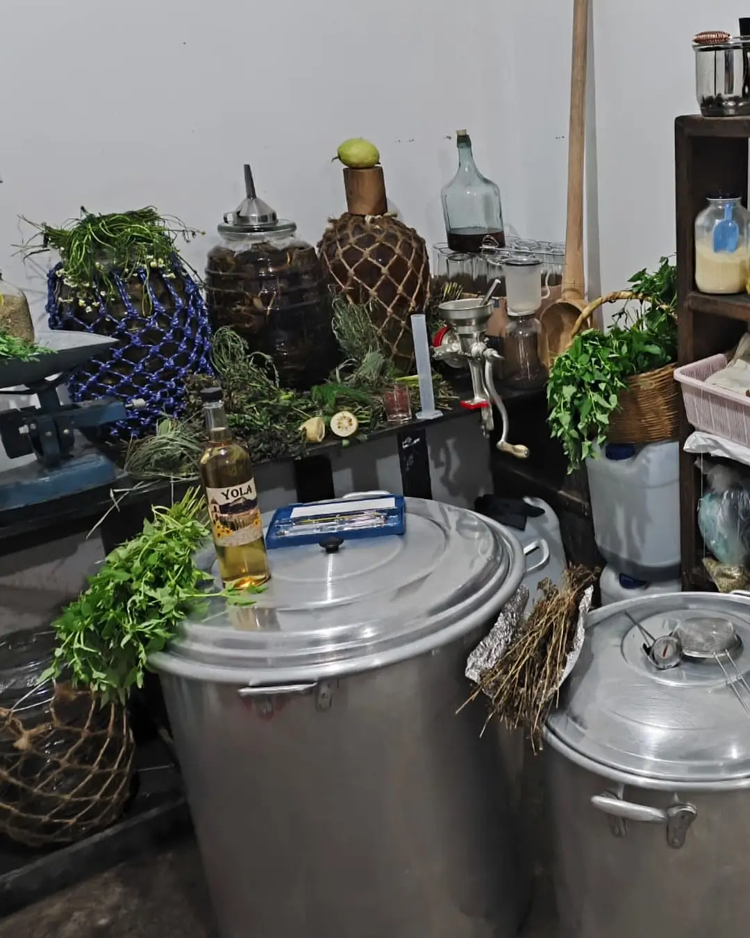 licores tlatlauquitepec