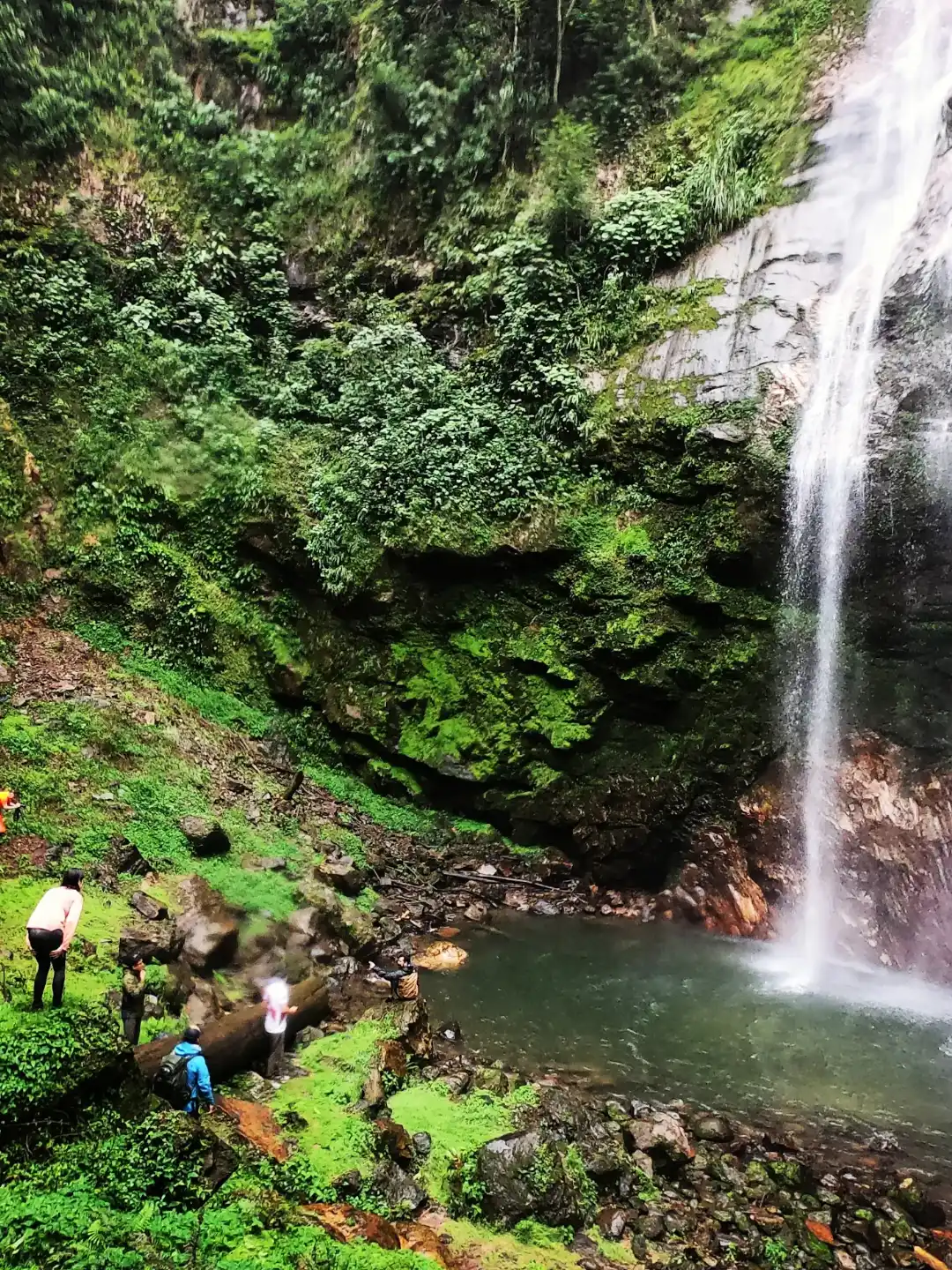 presa de la soledad actividades