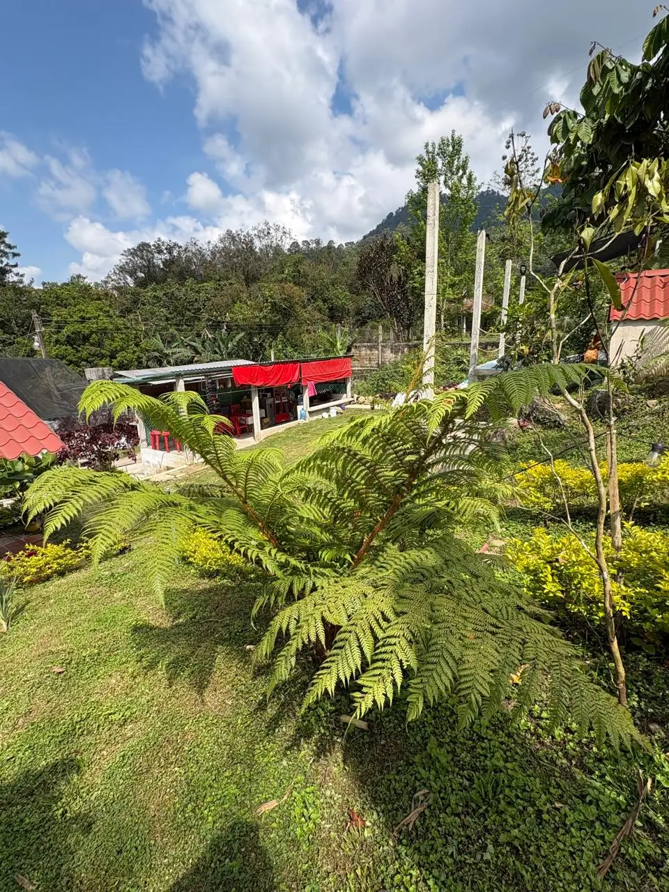 Home tlatlauquitepec donde esta